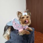 🐶CHANEL RUBIO 🐾 - @_chanel_ru - Instagram
