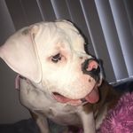 Chanel Stevens - @chanel.marie8901 - Instagram