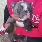 Chanel Sullivan - Facebook