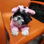 Chanel - @chanel_torres2 - Instagram