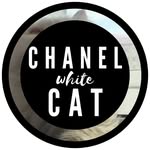 CHANELwhiteCAT - @chanelwhitecat - Instagram