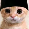 Chanelle Fields - @chanelle.fields - TikTok