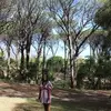 chanellejames738 - @chanellejames738 - TikTok