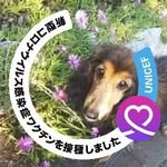 城取昌宏 - @changhongchengqu - Instagram