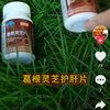 user8619214555323 - @wangchanghua1986 - TikTok