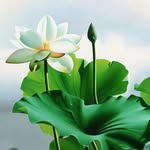 Chánh Đinh - @chanh2014 - Instagram