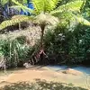 Chanh Dinh - @chanh.dinh808 - TikTok