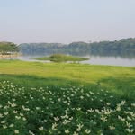 Chánh Định Võ - @vochanhdinh - Instagram