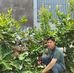 Chanh Le - Facebook