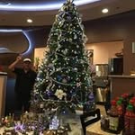 Chanh Lu - @chanh.lu - Instagram