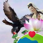 Chanh Lu - Facebook