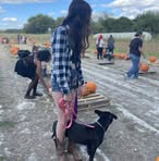 Cheyenne Batten - Facebook