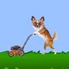 channingrice - @channingrice - TikTok