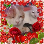 Chantal Benoit - Facebook