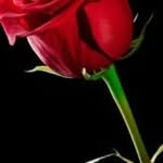 Chantal Pilon - @chantal.pilon1967 - Instagram