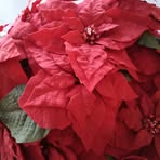 Chantal Pilon - Facebook