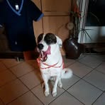 Chantal Pilon - Facebook