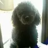 Chantal Wend - @chantal.wend - TikTok