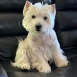 Chantal Thorel Plamont - @chantal_plamont - Instagram