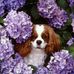 Chantel Bryant - Facebook