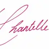 w - @chantellemosso - TikTok