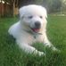 Chantel Walker - Facebook