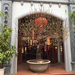 chao lee - @chaolee787 - Instagram