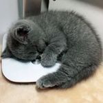 Chaohui Wang - @chaohui.wang.106 - Instagram