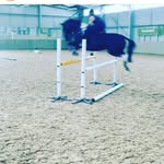 Char Alex - @charlottebraddock33 - Instagram