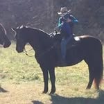 Char Alexander - @charsun01 - Instagram