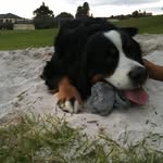 @char_ball_ - Instagram