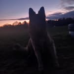 charlotte - @charball08 - Instagram