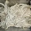 mycoCaveman - @charlesfortune138 - TikTok