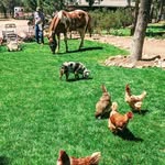 Char Hall - @charlenehall835 - Instagram