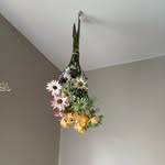 Char Hall - @xmaseve_24 - Instagram