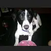 Charley  - @charhall43 - TikTok