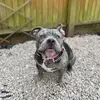 Char - @char.wilson1806 - TikTok
