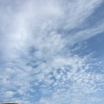 Charan Mann - @manncharan - Instagram