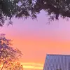 Chandon_priv - @chandonthompson - TikTok