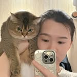 ᴄʜᴀʀɪs ᴄʜᴀɴ - @csumyi - Instagram