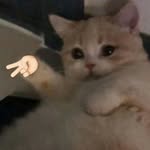 𝐂𝐡𝐚𝐫𝐢𝐬 𝐂𝐡𝐚𝐧 - @_charis_chan_ - Instagram
