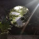 Charis Forde - @charisforde - Instagram