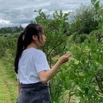 charis tam - @charis.tam_ - Instagram