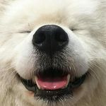 Charis Wong - @charis.kirie - Instagram