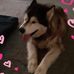 Charissa Saunders - Facebook