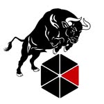 charisma young bulls | JBBL Basketballteam - @charismayoungbulls - Instagram