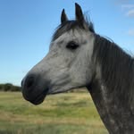 Charissa Cooper - @cnn.photograph - Instagram