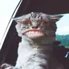 Carissa Edwards - @carissaedwards7 - TikTok