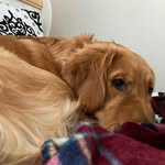 Charissa - @charissa_edwards2006 - Instagram