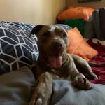 Charity Aragon - @charity_aragon - Instagram